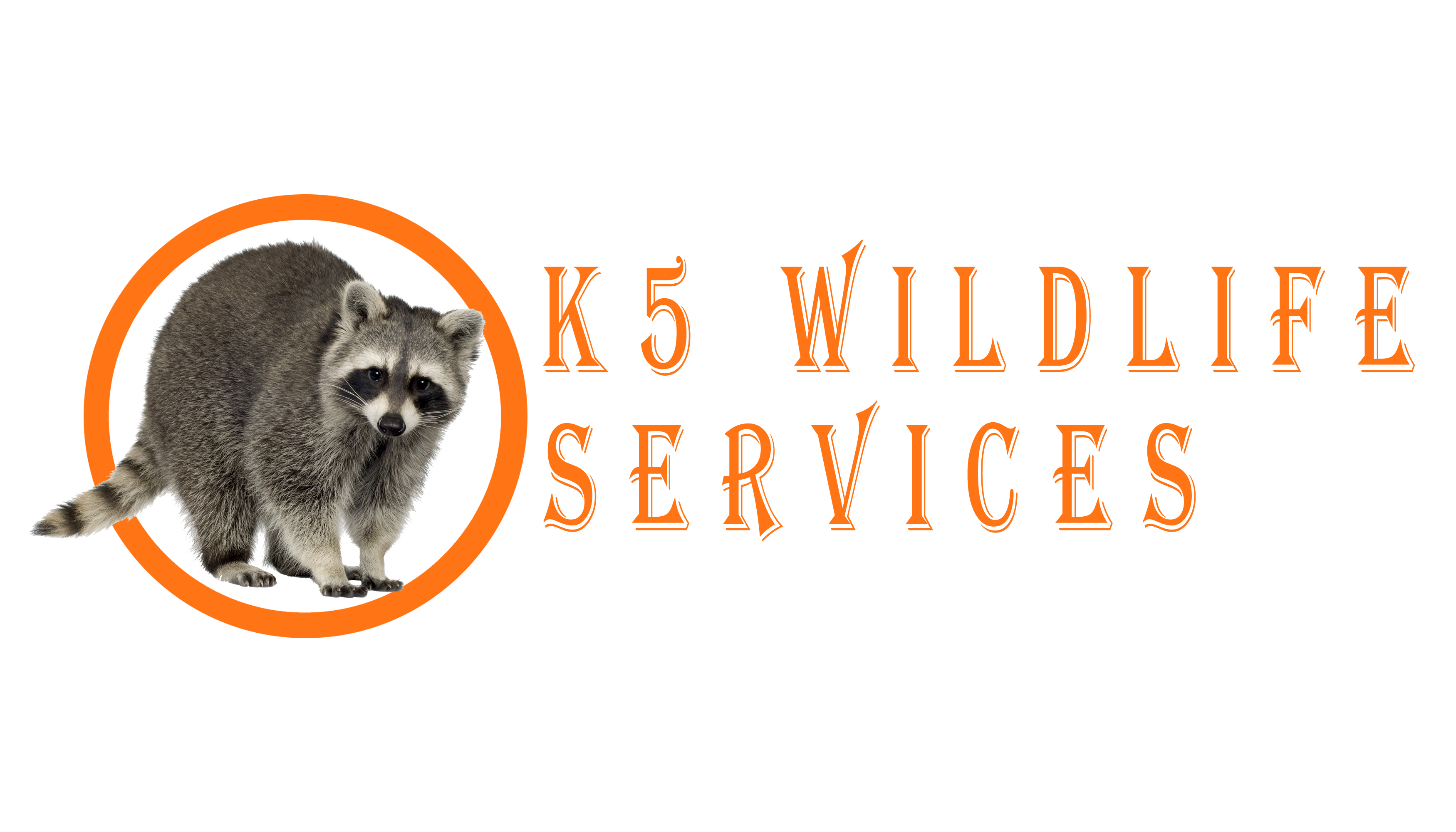 k5-wildlife-removal-company-wildlife-removal-without-the-hassle